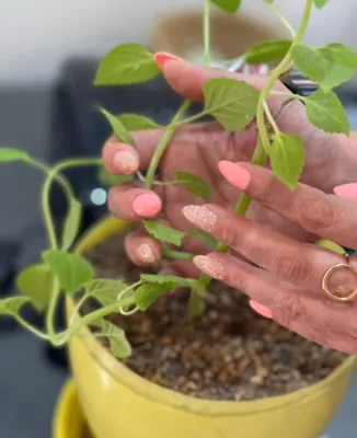 بهترین ناخن کار در ‌پونک