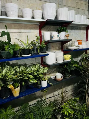 بهترین گلفروشی کرج