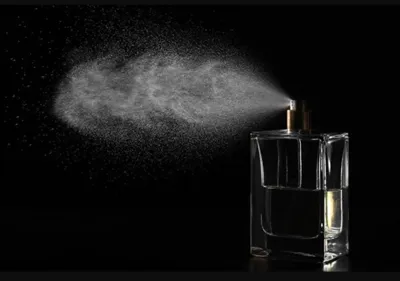 سیلور سنت بوگارت