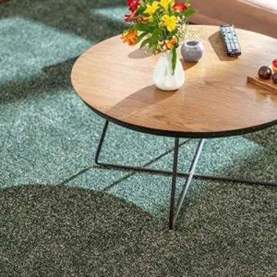 نمایندگی پالاز موکت در رشت