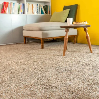 موکت پالاز در رشت