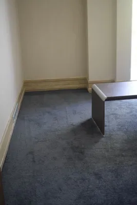 موکت ظریف مصور در رشت