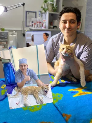 کلینیک دامپزشکی هاچیکو