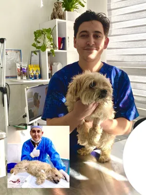 کلینیک دامپزشکی هاچیکو