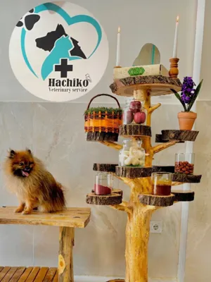 کلینیک دامپزشکی هاچیکو