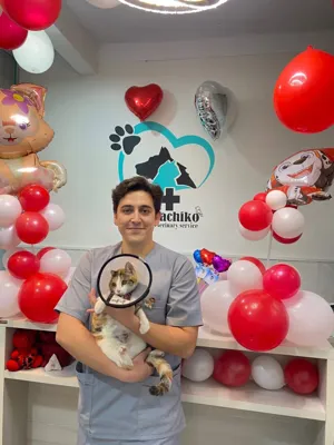 کلینیک دامپزشکی هاچیکو