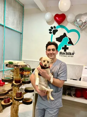 کلینیک دامپزشکی هاچیکو