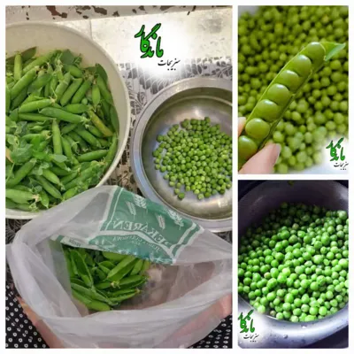 سبزیجات آماده ماندگار