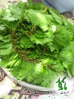 سبزیجات آماده ماندگار