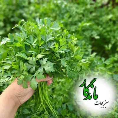 سبزیجات آماده ماندگار