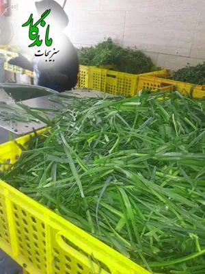 سبزیجات اماده در زرین شهر