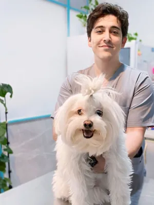 حیوانات شاد و سالم بعد از خدمات هاچیکو