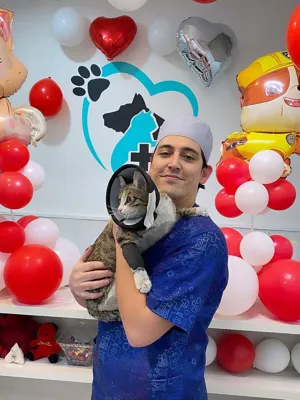 حیوانات شاد و سالم بعد از خدمات هاچیکو