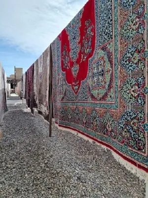 بهترین قالیشویی اتوماتیک کرمان