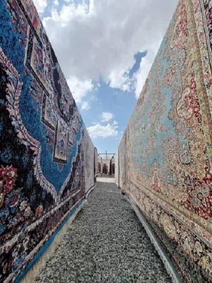 بهترین قالیشویی اتوماتیک کرمان