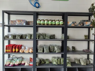 سبزی مارکت ترخون