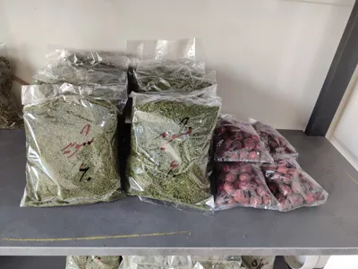 شوید خشک،عناب