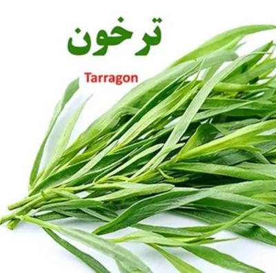 سبزی مارکت ترخون