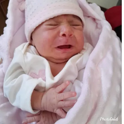 دکتر سیده رابعه روحانی