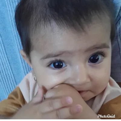 درمان نازایی در پردیس