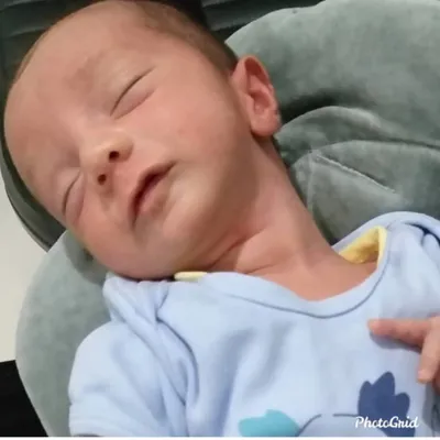 دکتر سیده رابعه روحانی