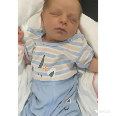 دکتر سیده رابعه روحانی