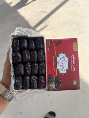 خرید عمده خرما 