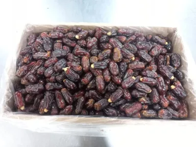 خرما استعمران