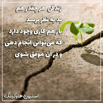 آسیه شیرزاد