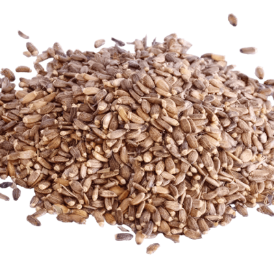 دانه خارمریم