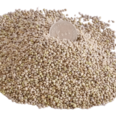 شاهدانه پک یک کیلویی