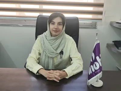 طراح سایت و سئو در مرداویج