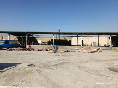 قالیشویی سریع در اصفهان 