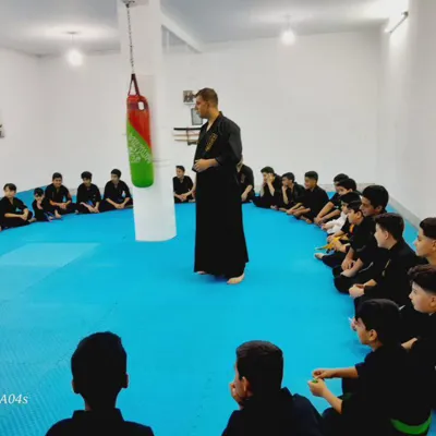 آیکی جیتسو ایران