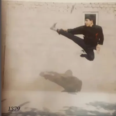 آیکی جیتسو ایران