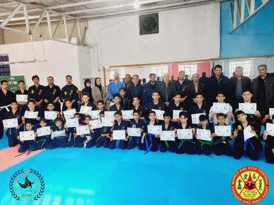 آیکی جیتسو ایران