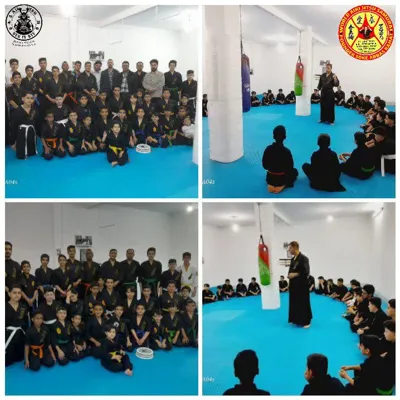 آیکی جیتسو ایران