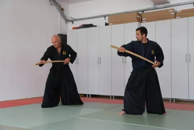 آیکی جیتسو ایران