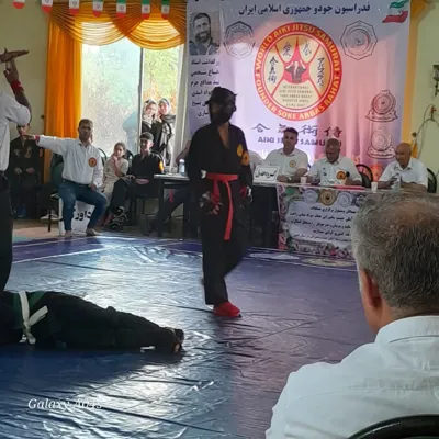 آیکی جیتسو ایران