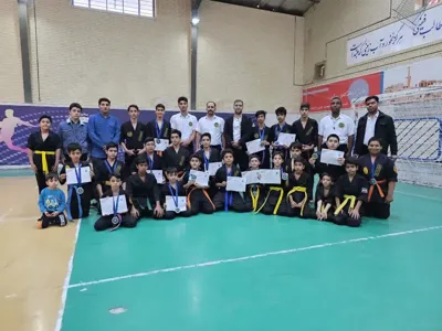 آیکی جیتسو ایران