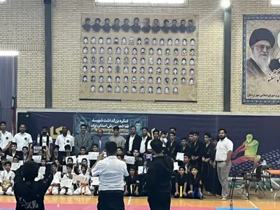 آیکی جیتسو ایران