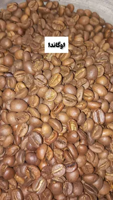 خرید عمده قهوه اصفهان
