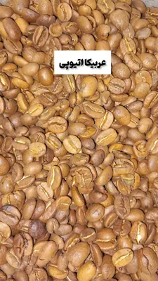 خرید قهوه اصفهان
