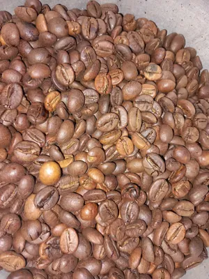 خرید قهوه اصفهان