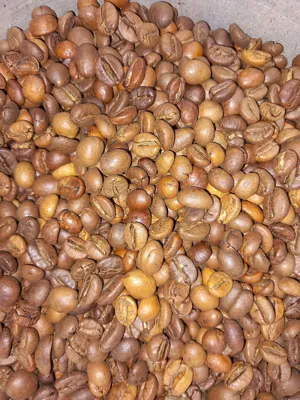 خرید قهوه اصفهان