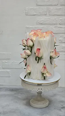 آموزش کیک خامه ایی در اصفهان 