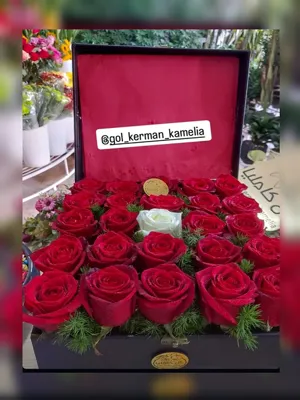 سفارش گل در کرمان 