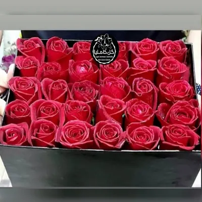 تالار گل کاملیا