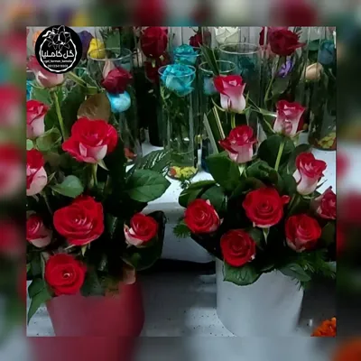 سفارش گل در کرمان