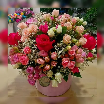 تالار گل کاملیا